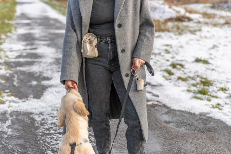 Hundepose holder, i canvas og læder