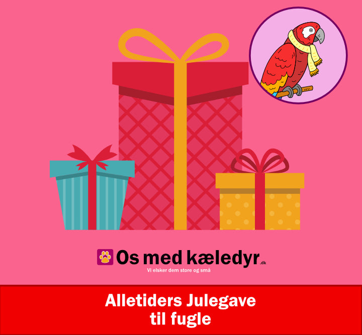 Alletiders Julegave til fugle, lad os stå for julegaven til din fugl/papegøje!