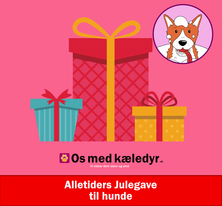 Alletiders Julegave til hunde, lad os stå for julegaven til din Hund!