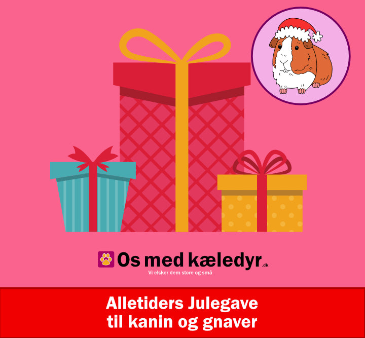 Alletiders Julegave til kaniner og gnaver, lad os stå for julegaven til din Kanin eller Gnaver!