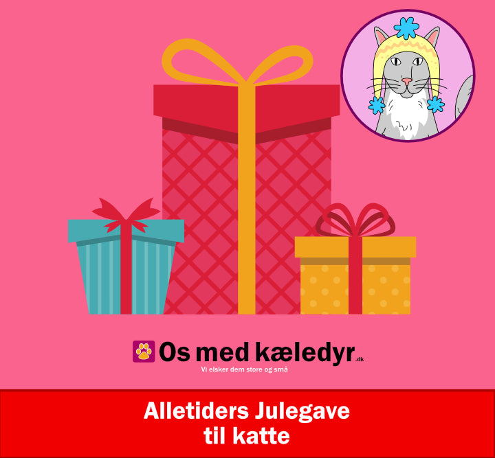 Alletiders Julegave til katte, lad os stå for julegaven til din Kat!