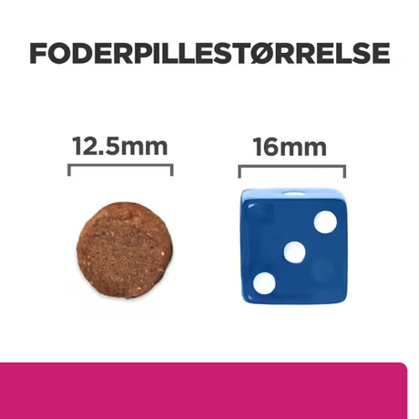 Et billede af en hund og en terning, der viser Hill's PRESCRIPTION DIET Gastrointestinal Biome tørfoder til hunde med kylling fra Hills Prescription Diet.