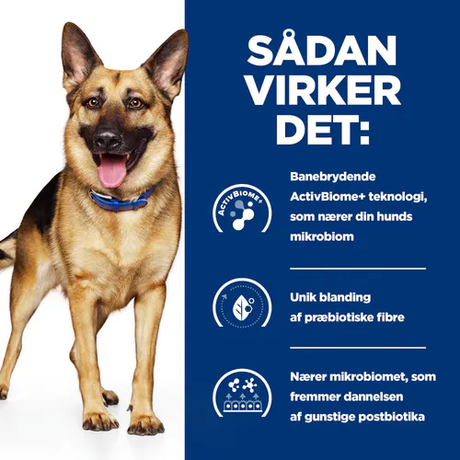 Sådan vikker fordøjelsen for german shepherds med Hill’s PRESCRIPTION DIET Gastrointestinal Biome tørfoder til hunde med kylling fra Hills Prescription Diet.