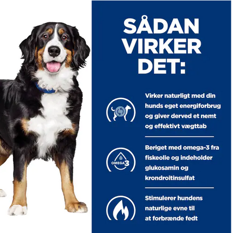 Vægttab og ledsundhed hos hunde med Hills Prescription Diet Metabolic + Mobility Weight Management j/d tørfoder til hunde med kylling.