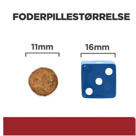 Et billede af en Hill's Prescription Diet i/d Digestive Care tørfoder til hunde med kylling cookie og en terning, der fremmer vigtigheden af fordøjelsessundhed.