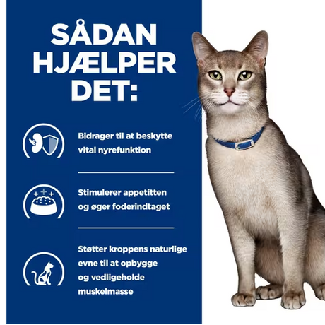 En kat med et halsbånd på halsen, der lider af nyreproblemer, har brug for Hills Prescription Diet k/d Nyrepleje vådfoder til katte med kylling 24x156g dåse.