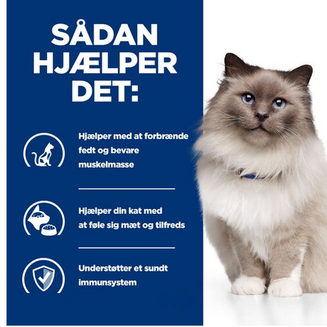 A cat eating Hill's PRESCRIPTION DIET r/d Weight Reduction vådfoder til katte med kylling 24x156g dåse med blå baggrund og hvid tekst.