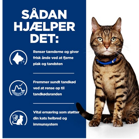 En kat med blåt halsbånd står foran en plakat, hvor der står sadan hller det. Denne yndige kat viser sin upåklagelige tandpleje, mens den promoverer fordelene ved Hill's PRESCRIPTION DIET t/d Dental Care tørfoder til katte med kylling.