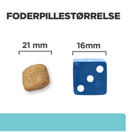 Et billede af en terning og et stykke brød, der fremhæver Hill's PRESCRIPTION DIET t/d Mini Dental Care tørfoder til hunde med kylling 3 kg positur for tandsundhed og fremme Hills Prescription Diet.