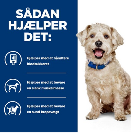 En hund med Hill's PRESCRIPTION DIET m/d Diabetes Care vådfoder til hunde med kylling 370g dåser, hjælper med at regulere blodsukkerniveauet.