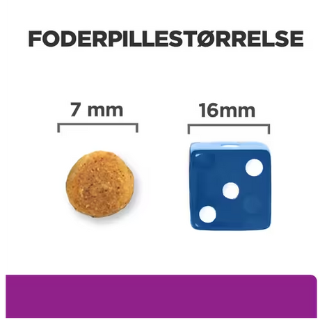 Et billede af en terning og en lineal ved siden af, der viser Hills Prescription Diet y/d Thyroid Care tørfoder til katte.