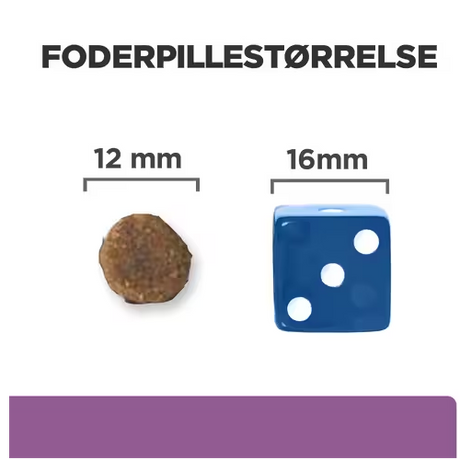 Et billede af en terning og en blå kugle med Hill's Prescription Diet b/d Brain Aging Care tørfoder med kylling - hundefoder til ældre hunde til ældre hundes hjernesundhed.