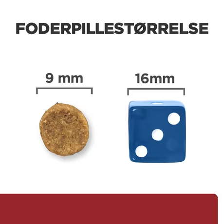 Et billede af en Hills Prescription Diet tørfoder i/d til katte med mavetarmsygdomme og et stykke brød med nøgleordene "letfordøjelig ernæring.