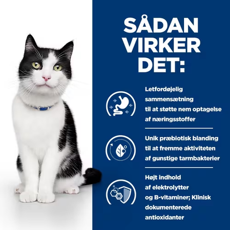 Sadan vikker det Hills Prescription Diet tørfoder i/d til katte med mavetarmsygdomme. Det er en receptpligtig diæt til at give let fordøjelig næring, specielt designet med kylling.