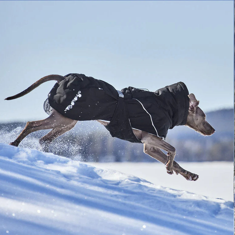 Hurtta Extreme Warmer III ECO – Vinterjakke til Hunde med Genbrugsmaterialer NYHED