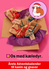 Årets Håndplukkede Adventskalender til din kanin / gnaver!