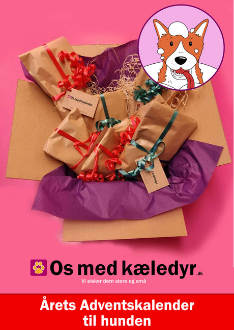 Årets Adventskalender til hunden