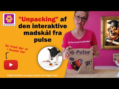 Pulse fra NORTHMATE | Smart & Interaktivt - madskål til hunde