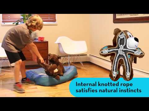 KONG Holiday Wild Knots Bear – Holdbart og Blødt Jule Hundebamse