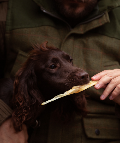 En brun hund, der nyder en ESSENTIAL Lamb Skin Delights tyggegodbid.