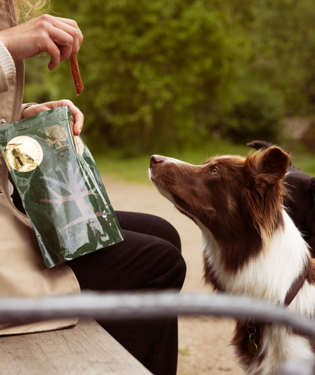 En kvinde fodrer en hund ESSENTIAL Turkey (kalkun) Delights 200 G - også god til hundetræning.