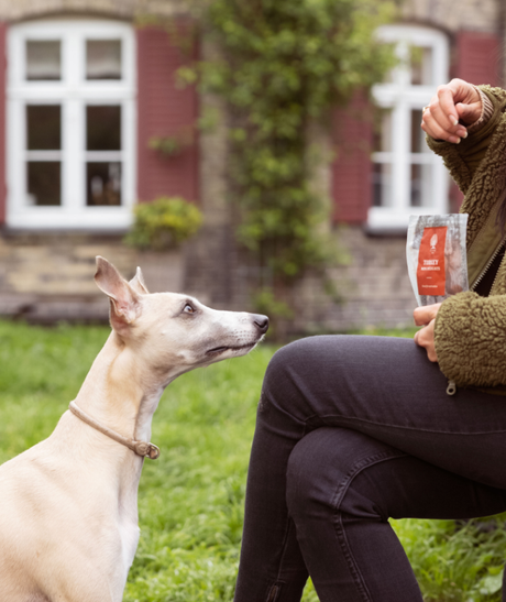 En kvinde sidder på en bænk med en Essential Tyrkiet mini lækkerier - små bløde kornfri kalkungodbidder 100g hund.