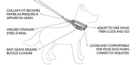 Hunde halsbånd - Hundehalsbånd Checkmate fra Ezydog, halvkvæler, super flot og smart - Hvor kæledyr ville handle - Foderboxen.dk