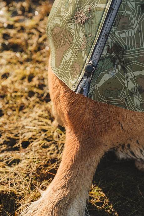 En hund iført en Hurtta svømmevest på jorden med termisk isolering.