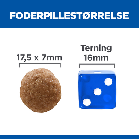 En hund med en terning og en lineal ved siden af, der promoverer Hills Science Plan 12 kg Adult Perfect Digestion Stor race med kylling og brune ris.