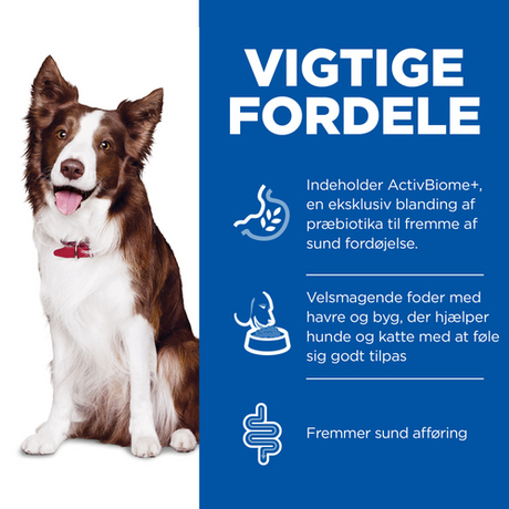 Medium Adult Hills Science Plan hundefoder fordele - 12 kg Hills Adult Perfect Digestion Medium med kylling og brune ris.