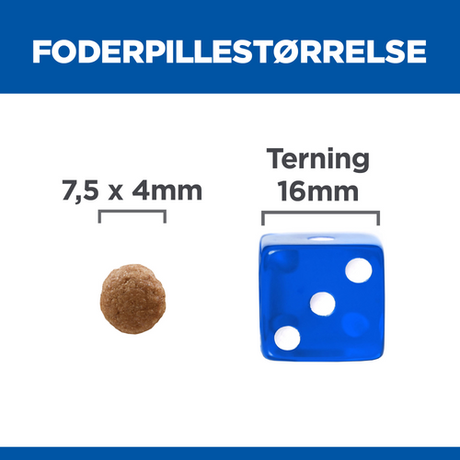 Et billede af en 6 kg Hills Adult Perfect Digestion Small & Mini med kylling og brune ris fra Hills Science Plan og et stykke chokolade. Chokoladen er formet som en terning.